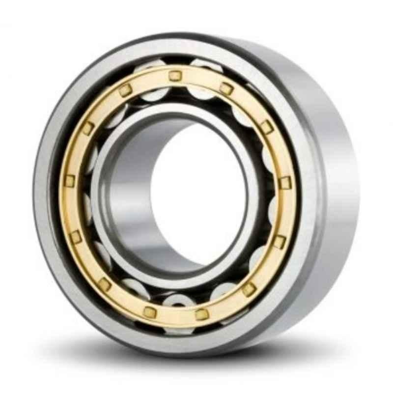 DYZV NU330 EM Cylindrical Roller Bearing, 150x270x45 mm