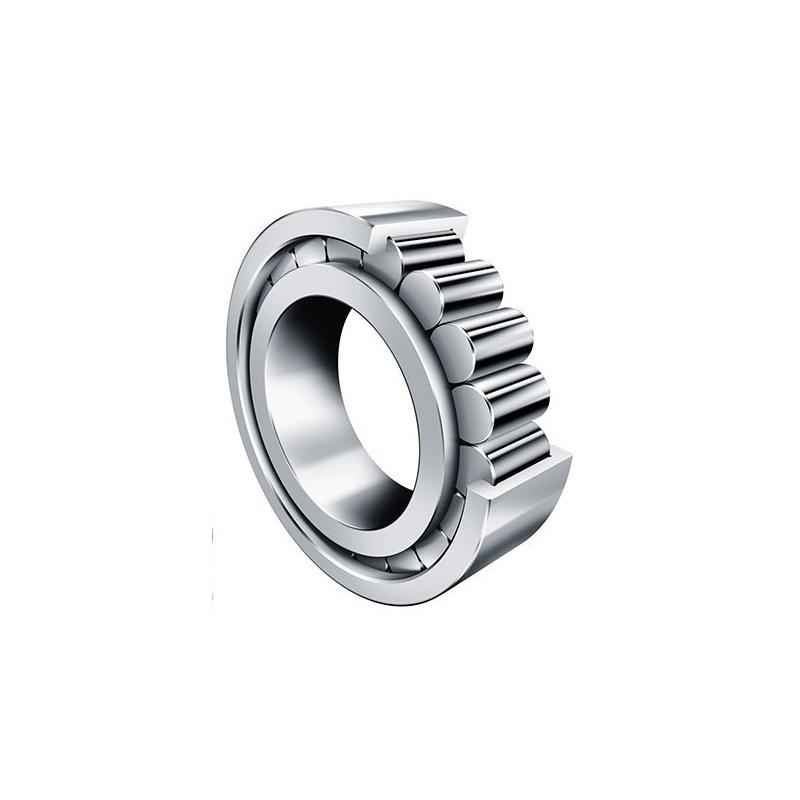 FAG NJ305-E-XL-M1 Cylindrical Roller Bearing, 25x62x17 mm