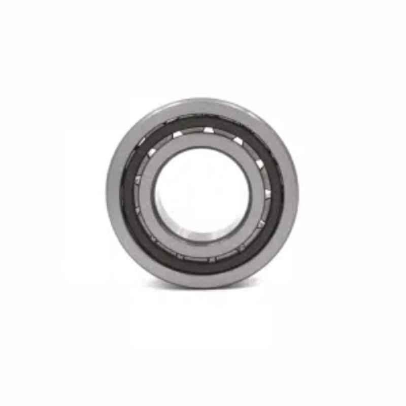 NTN NJ248 Cylindrical Roller Bearing 240x440x72 mm